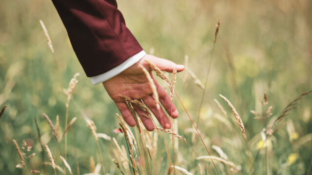 William Le Jonny - photographe de mariage - Bretagne - Rennes - Saint malo - Brest